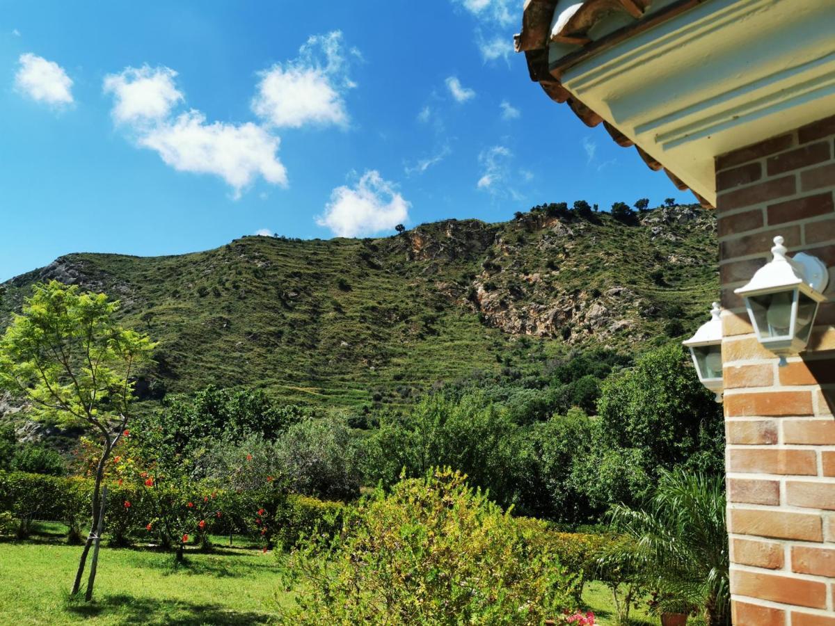 Il Mandorlo Villa Amantea Ngoại thất bức ảnh