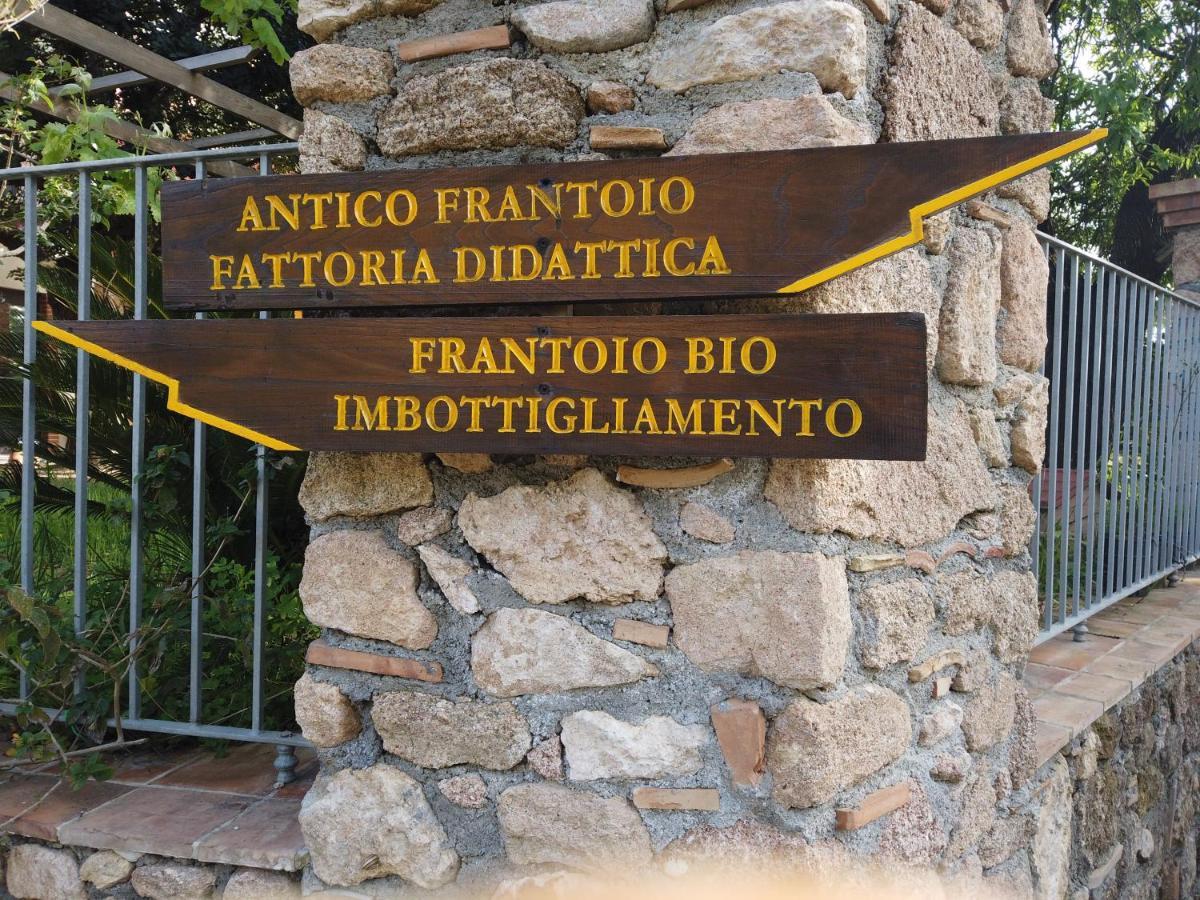 Il Mandorlo Villa Amantea Ngoại thất bức ảnh
