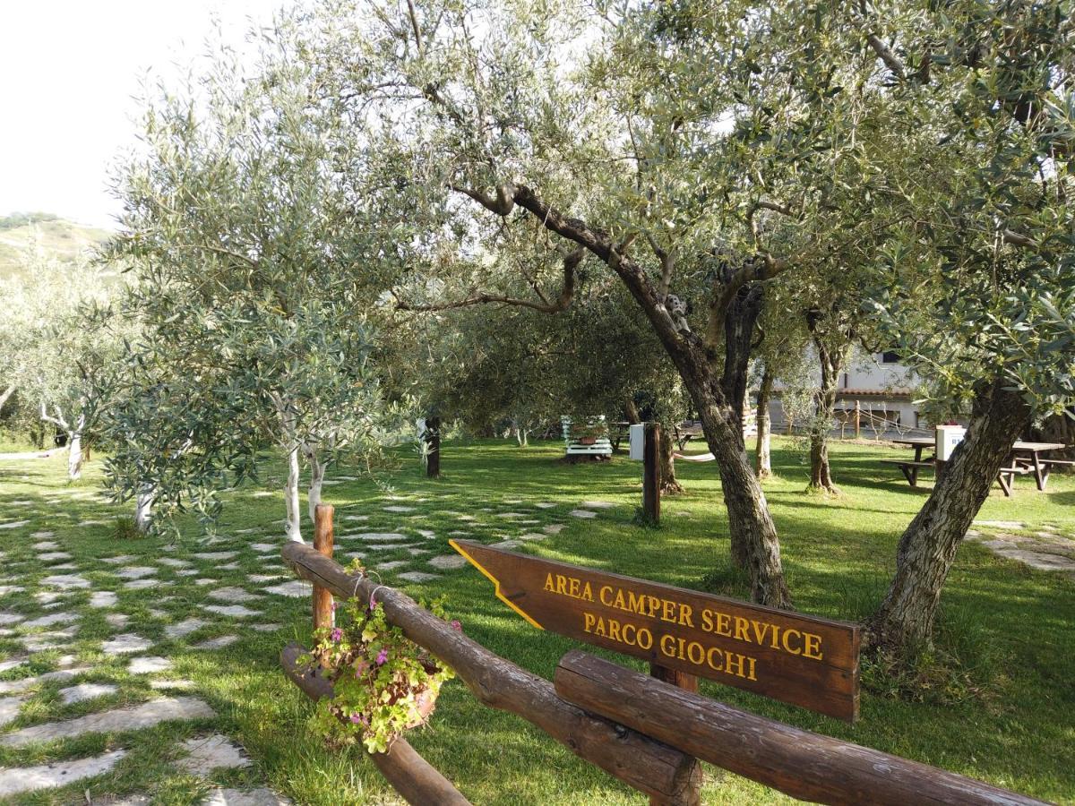 Il Mandorlo Villa Amantea Ngoại thất bức ảnh