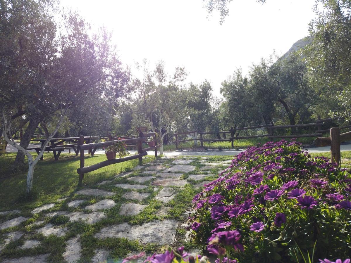 Il Mandorlo Villa Amantea Ngoại thất bức ảnh