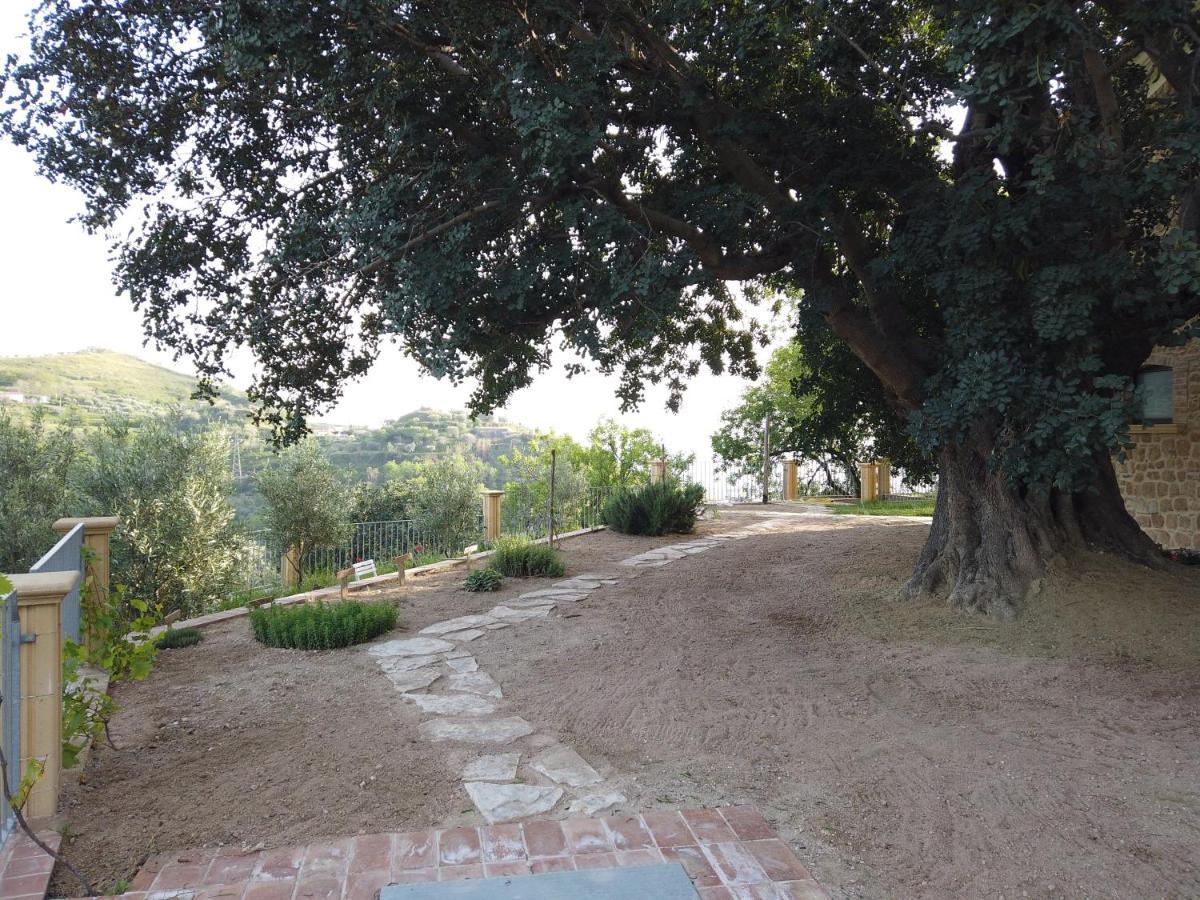 Il Mandorlo Villa Amantea Ngoại thất bức ảnh
