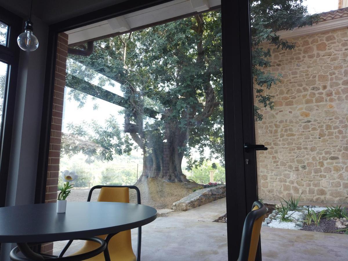 Il Mandorlo Villa Amantea Ngoại thất bức ảnh