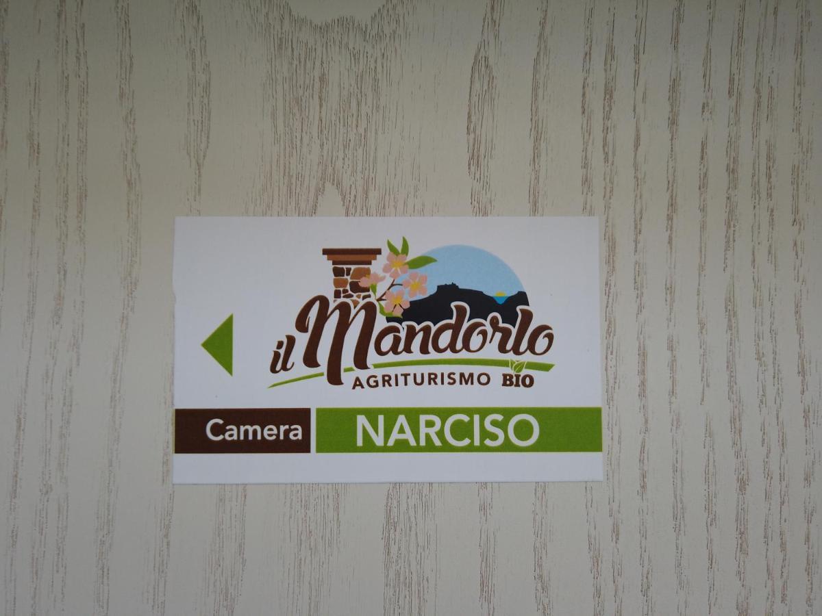 Il Mandorlo Villa Amantea Ngoại thất bức ảnh